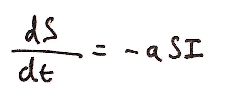 An image displaying the differential equation for dS/dt.