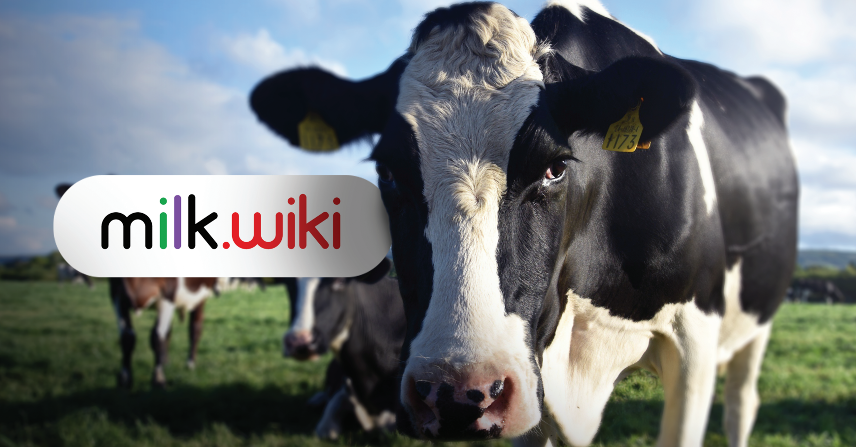 Milk Wiki Plataforma S/a