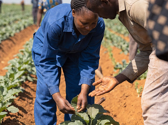 Agric training.jpg