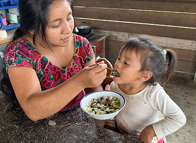 health and nutrition feeding.jpg