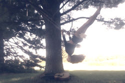 tree swing