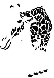ffb0fdcd1488da6c0cd542111ab97af5.jpg