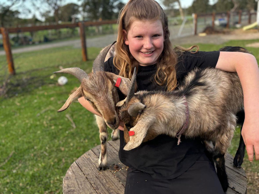 481689914_654851307123042_2295365937349112725_n