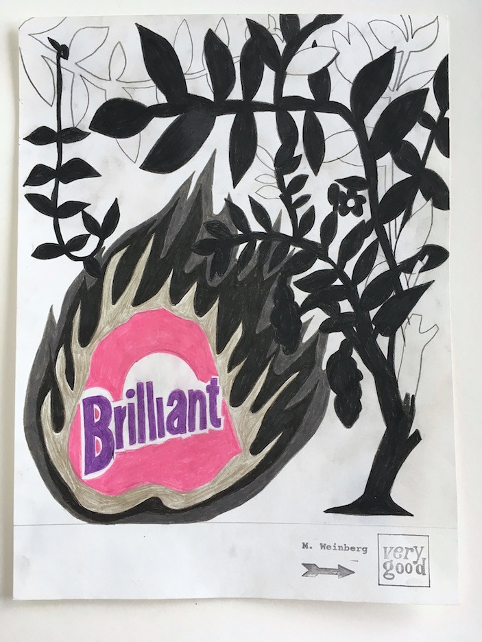 ‘Branded Nature’, 2017, graphite, colored pencil and rubber stamp on paper, 12" x 9"
