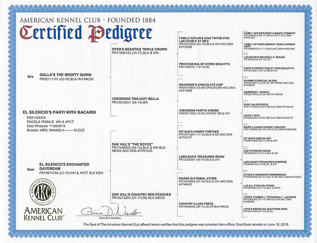 Pedigree.jpg