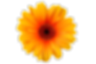 download (3).png