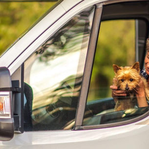 guida come viaggiare in camper con il cane