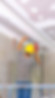 drywall in London Ontario.jpg