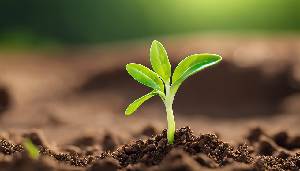 Innovative Approaches to Environmental Teaching