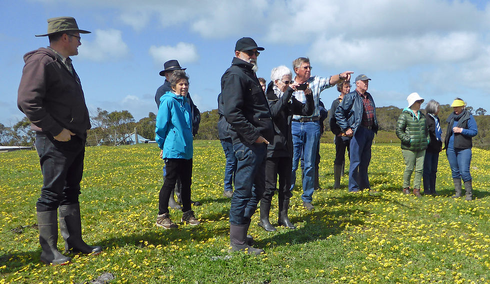 Lileys Landcare walk views from Mt Lavinia a.jpg