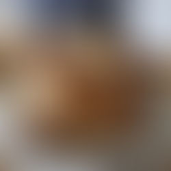 Een frankfurter in een brooddeeg jasje