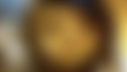 Rotterdamse doorregelap (speklap)