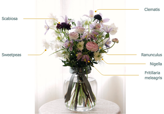 MAR - Spring is Here | Blooms of the Week | Wild Twelve Floristry