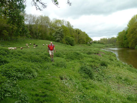 Growing a Walking Festival by Neil Cartman, Former Chair of IGWF