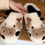 Thumbnail: New Winter Unisex Cartoon Cow Warm Plush Slippers Couple'S Indoor Non-Slip House