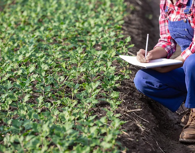 Master Gardener Training Hays County Gardener