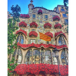 Casa Batlló Saint Jordi 😍🌹 #Barcelona #Cataluña #España