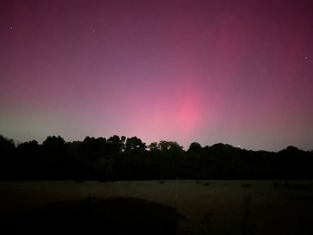 The Lone Star Lights
