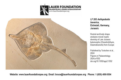 SVP Meeting 2025 Birmingham, England