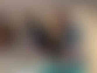 Lauer Foundation Funds Mazon Creek Tetrapod Project