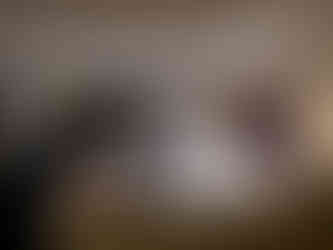 Lauer Foundation Funds Mazon Creek Tetrapod Project