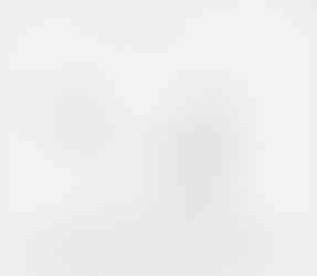 Another New Pterosaur from the Lauer Foundation Collection