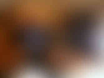 Mazon Creek Scorpions