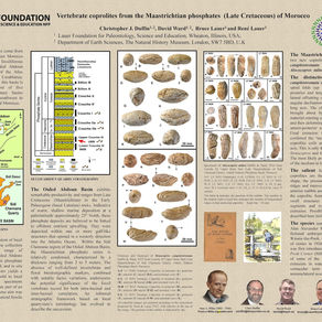Colleagues Release Two New Papers on Morocco Coprolites