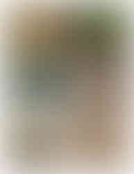 A New Research Paper on a Shark from the Solnhofen Archipelago