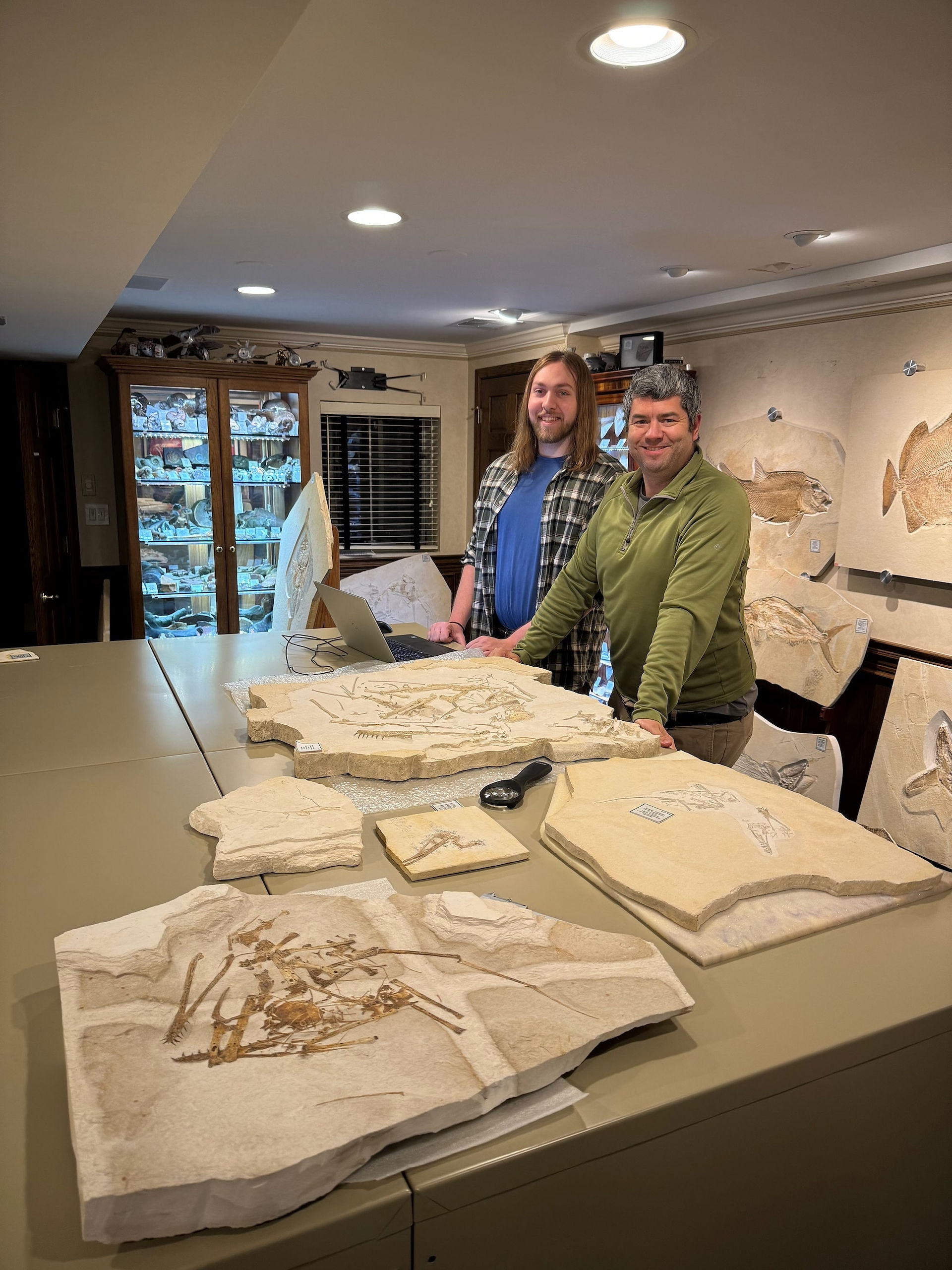 Another New Pterosaur Paper