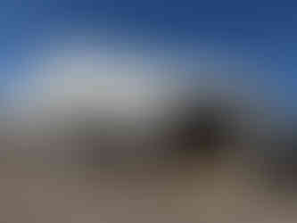 Lauer Foundation Annual Tucson Trip