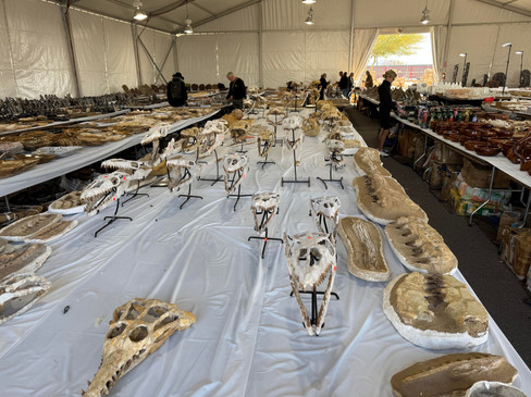 Lauer Foundation Annual Tucson Trip