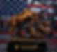 Bronze bull and bear statue for Veneroso Wealth Management.