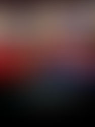 NHL Playoffs First Round Predictions