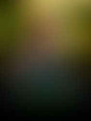 Seth Rogen Says Kool-Aid Plot In "The Studio" Was Inspired By "The Green Hornet"