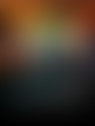 UFC CEO Dana White Firm On No Stadium Shows Stance Despite Conor McGregor's Return Condition