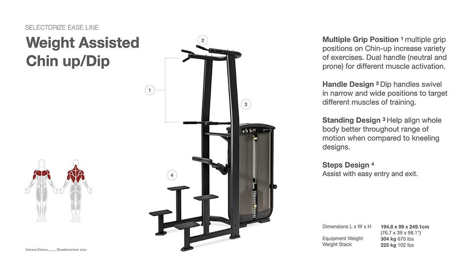 INTENZA ASSISTED CHIN UP / DIP
