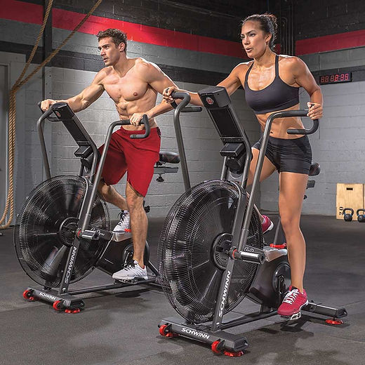 Schwinn personal trainer 205 hotsell