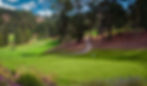 Tilden 02