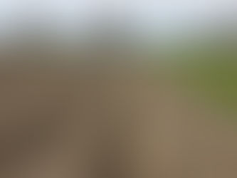 terroir be regional.... hää?