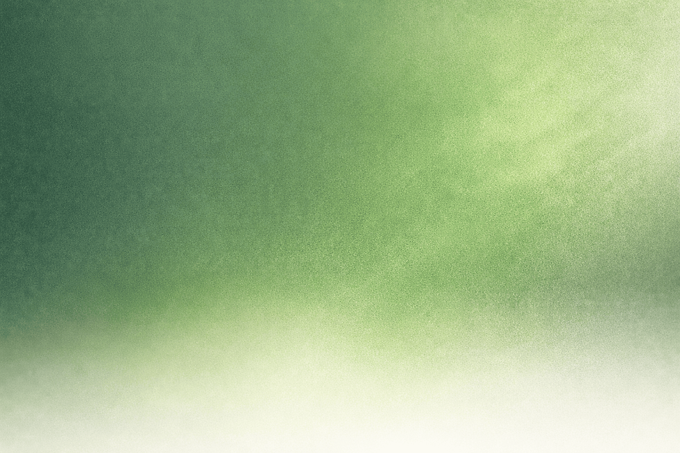 ChatGPT Image Feb 20, 2026, 02_41_09 PM (1).png