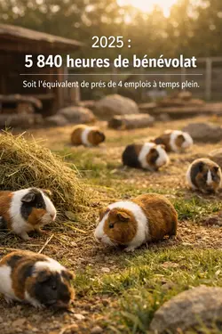 5 840 heures de bénévolat