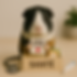 2cc29592-d913-4302-a30f-3c5dbca26ea4.png