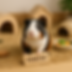 31971634-a1da-4187-b038-89b8a502d5f6.png