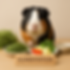 7fc7e0c8-f1e5-4422-9ae5-51761238f414.png