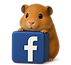 5.png
