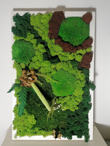 Giardino verticale verde e marrone