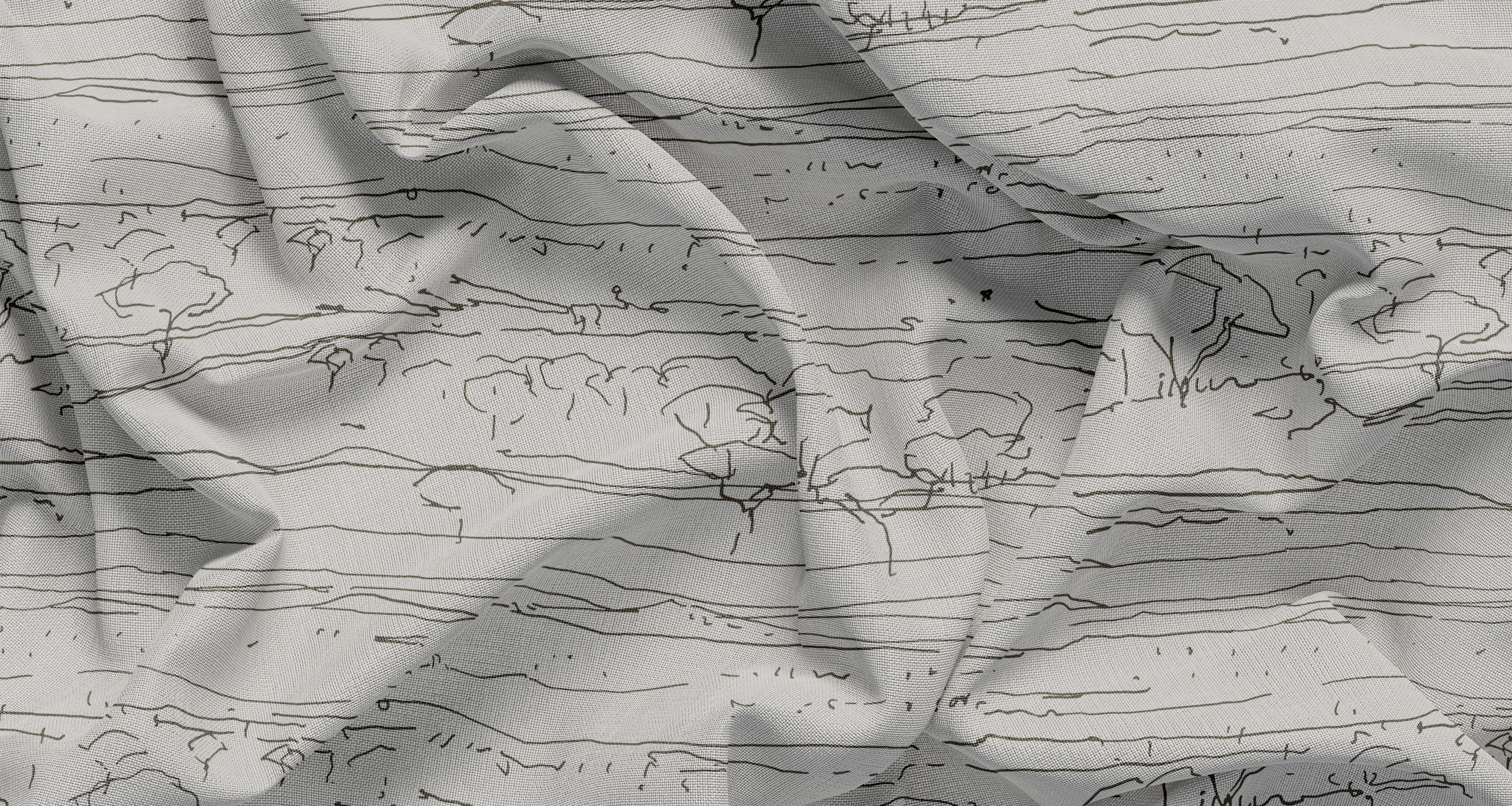 ENDLESS VIEW | Olive Branch