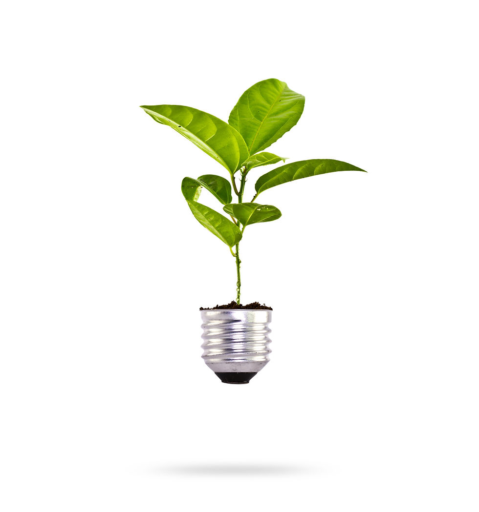 plant-growing-bulb.jpg