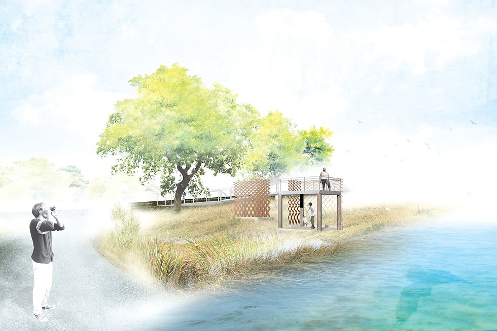 01_Low Sea Level
